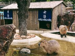 -无锡动物园·太湖欢乐园