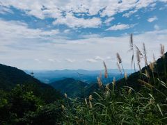 -东天目山风景区