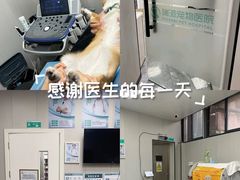 -瑞派宠物医院东莞中心医院·24H转诊·异宠(新河北路院)