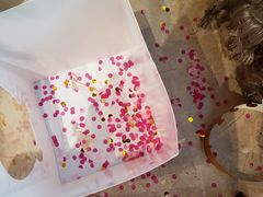 -CAKE BOSS 蛋糕老板(西单君太百货店)