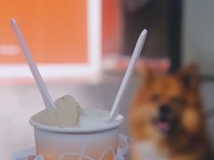 开心果Pistachio-Dip in Gelato(富民路店)