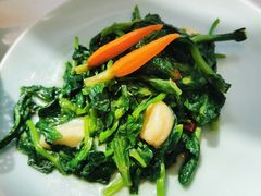 炝炒豌豆尖-卫鼎轩·家宴(水上公园店)