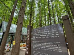 -日照海滨国家森林公园