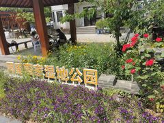 -同里国家湿地公园