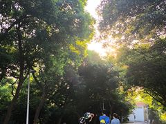 -大雁山风景区