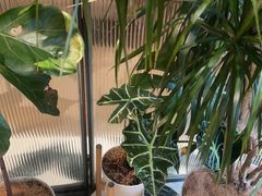 -一尺花园(安和花园店)