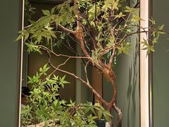 -宴长沙(五一广场店)