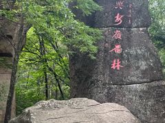 -汤旺河林海奇石景区