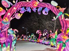 -沈阳奥体冰雪嘉年华