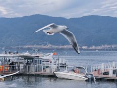 -海埂大坝