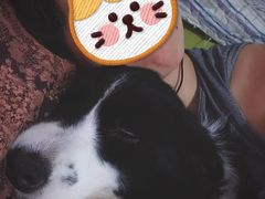 -瑞派宠物医院·24小时骨科·心脏·核磁(哈尔滨南岗店)