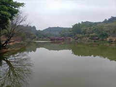 -南国桃园旅游度假区