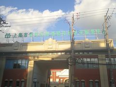 -桃浦镇社区卫生服务中心