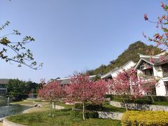 -阳朔悦榕庄·明月西餐厅&清风吧