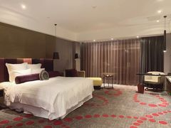 -南京禄口机场雅高铂尔曼大酒店