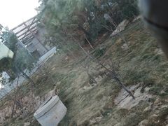 -太原动物园