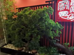 -洞庭家宴·头牌甲鱼(广渠门店)