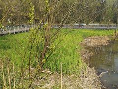 -西湖风景区-江洋畈生态公园