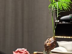 -梅花境(万科店)