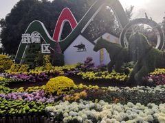 -南山植物园