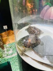 -酷嗒动物文化乐园(cutezoo西溪乐天城店)