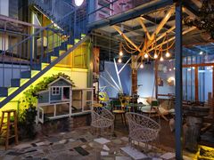 -喵屿·大理花园猫咖