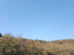 -蟒山国家森林公园-停车场