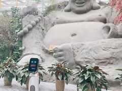 -滕头生态酒店(奉化店)