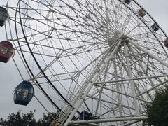 -观澜湖生态运动公社