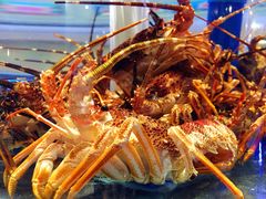 -新海渔港·胶东海鲜家常菜·家宴(奥体中心店)