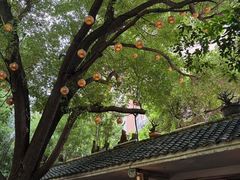 -竹吟山房