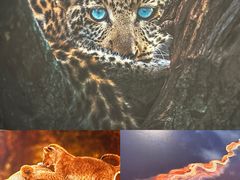 -罗红摄影艺术馆