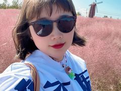 -羊亭河湿地公园