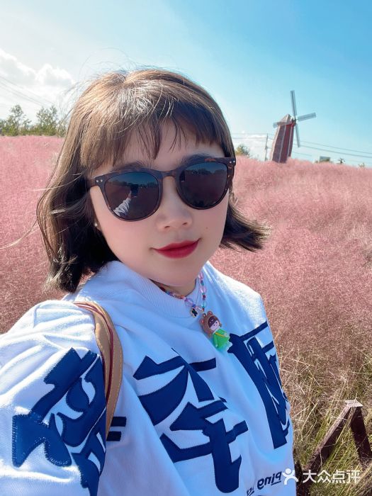 羊亭河湿地公园图片