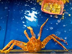 -囍上海鲜火锅酒家(兴宁路店)