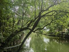-房湖公园