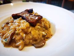 云南牛肝菌烩饭-EGoN