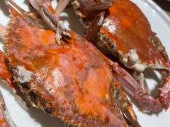 -连鹭海鲜·海肠捞饭·海胆饭(星海店)