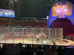 -俄罗斯国家大马戏团