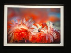 -罗红摄影艺术馆