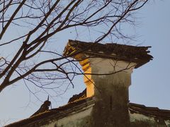 -长广溪湿地公园