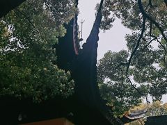 -西园戒幢律寺