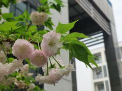 -杭州电子信息职业学校(丁桥校区)