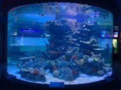 -左海海底世界