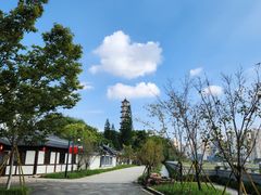 -江心屿景区