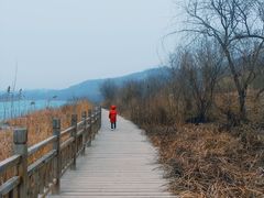 -淇河国家湿地公园