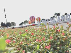 -太阳岛度假酒店