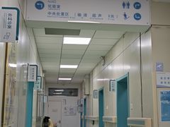 -北京观赏动物医院·24小时大型综合·猫专科·异宠专科