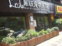 -派联宠物医院·24h·CT·异宠