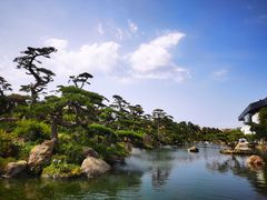 -罗红摄影艺术馆